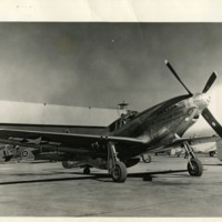 FlyingCardinalPlane_1944.jpg